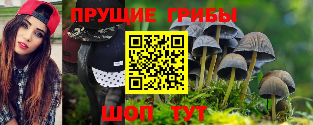 наркота  Вход с VPN  Мариинск  Псилоцибиновые грибы Cubensis 