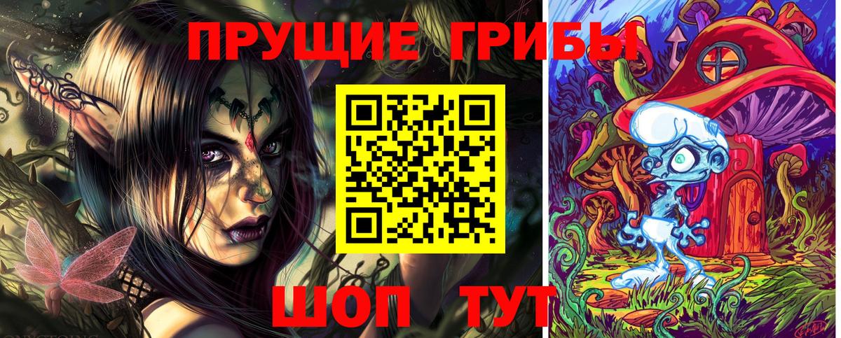Псилоцибиновые грибы Psilocybe Мариинск